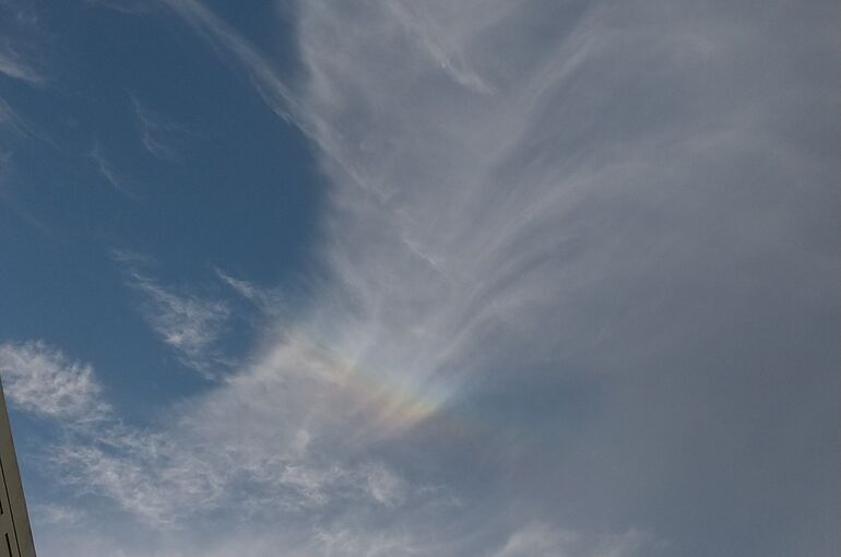 ペガサス？の羽に虹✨🌈✨